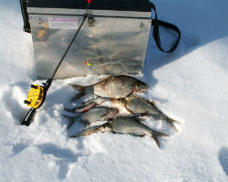 Сколько стоит зимняя рыбалка для новичка